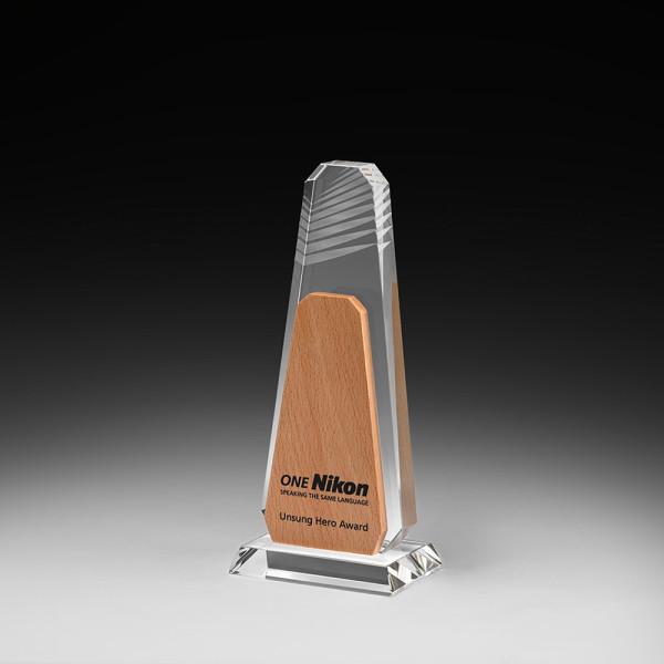 Aspen Award