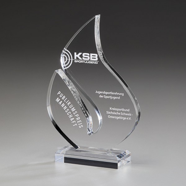74003-brilliance-award_q_web.jpg