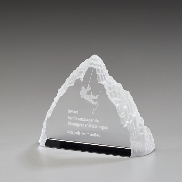 79040-iceberg-award-orginal_q_web.jpg