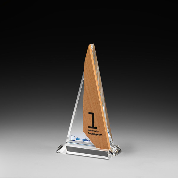 Pendant Award