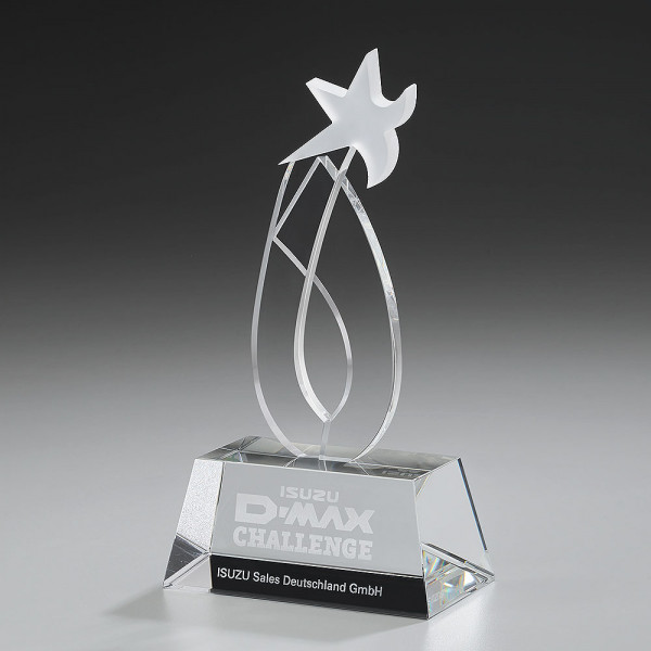 7909_dynamic-ice-award_q_web.jpg